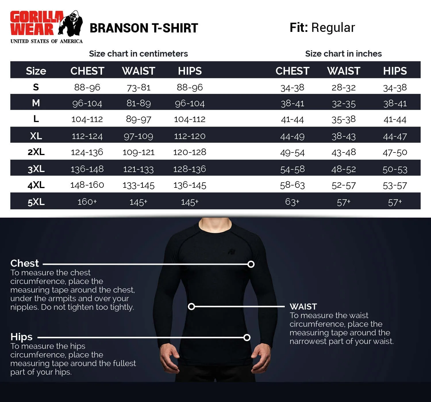 BRANSON T-SHIRT BLACK/GRAY