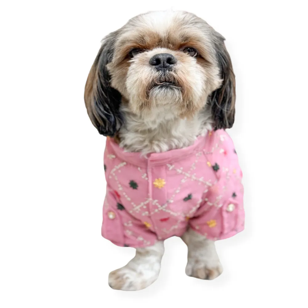 Pawgypets Festive Shirt for Dogs and Cats (Pink)