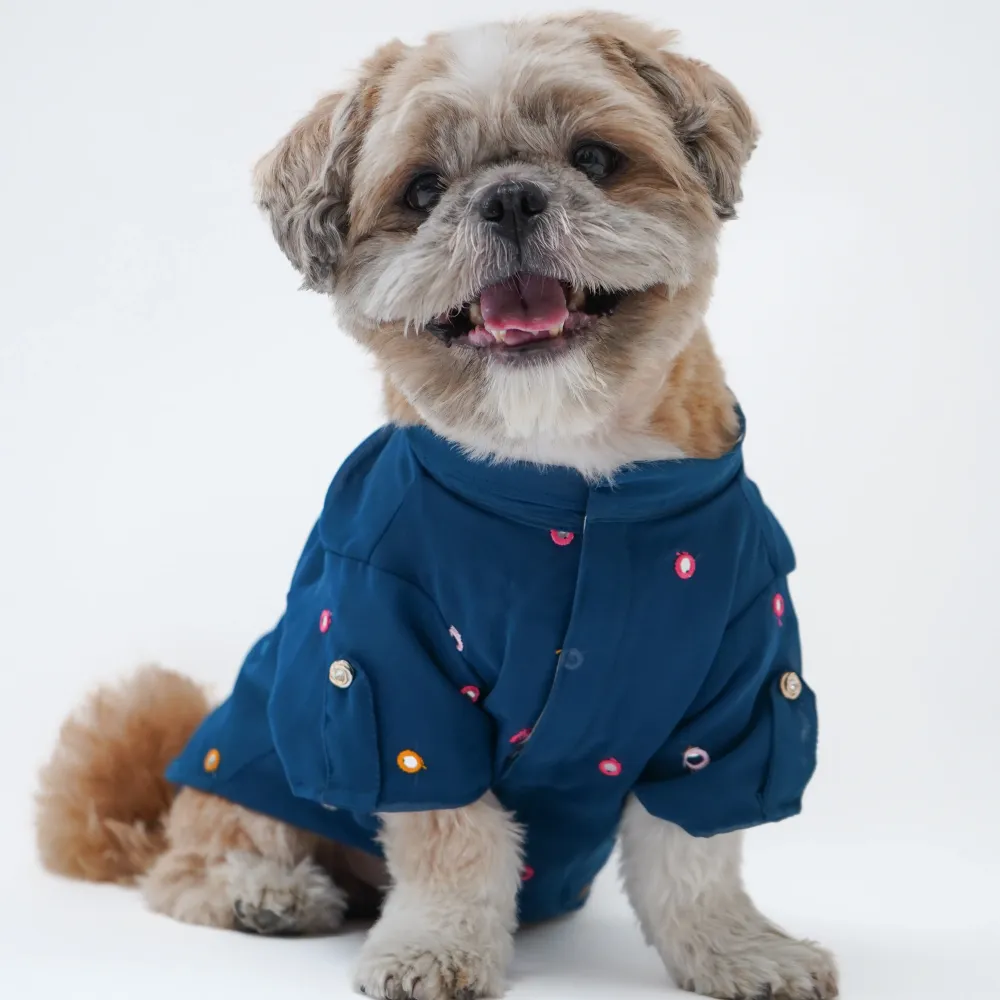 Pawgypets Festive Shirt for Dogs (Peacock Blue)